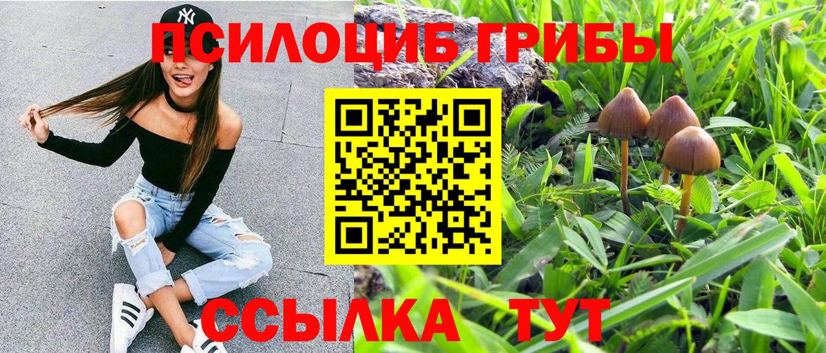 Псилоцибиновые грибы мухоморы  Вход с VPN  Дедовск 