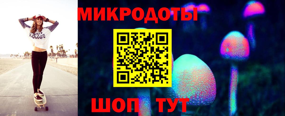 Галлюциногенные грибы Psilocybe Дедовск